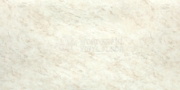 Stonecarp - YDS 08-1
